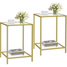 HOMSHO Side Tables Set of 2, Side Table with Tempered Glass, 2 Tier Bedside Tables with Shelves, Coffee Table with Modern Style, Square Sofa Table for Living Room, Bedroom, 40 cm D x 40 cm