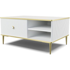 Homlando Petra Coffee Table, 90 x 60 cm, Square, Side Table, Table for Living Room, Milled MDF Decorations on Golden Metal Legs, Coffee Table with Shelf (Matte White)