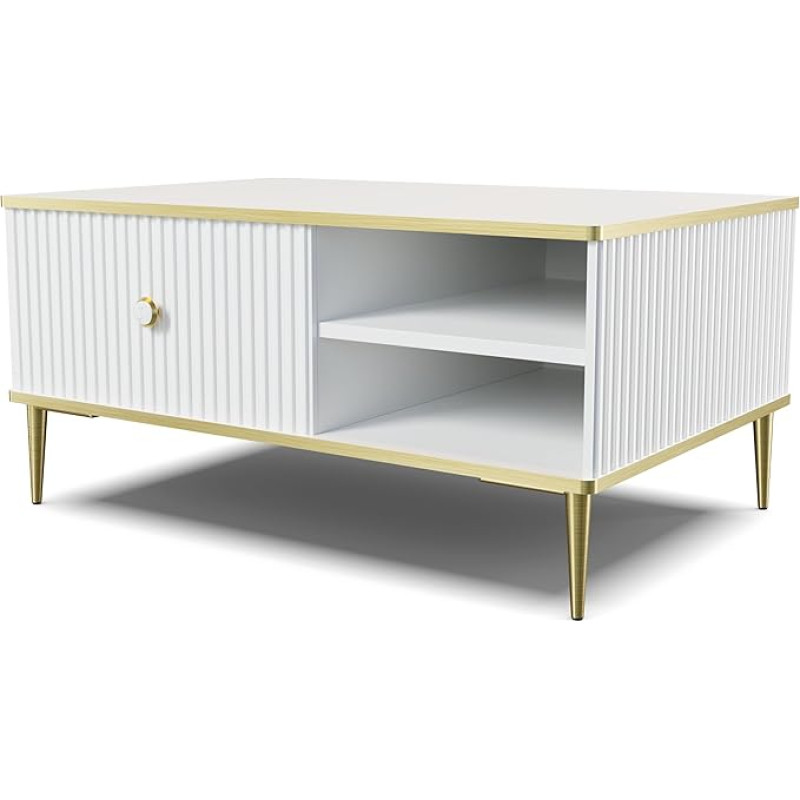 Homlando Petra Coffee Table, 90 x 60 cm, Square, Side Table, Table for Living Room, Milled MDF Decorations on Golden Metal Legs, Coffee Table with Shelf (Matte White)