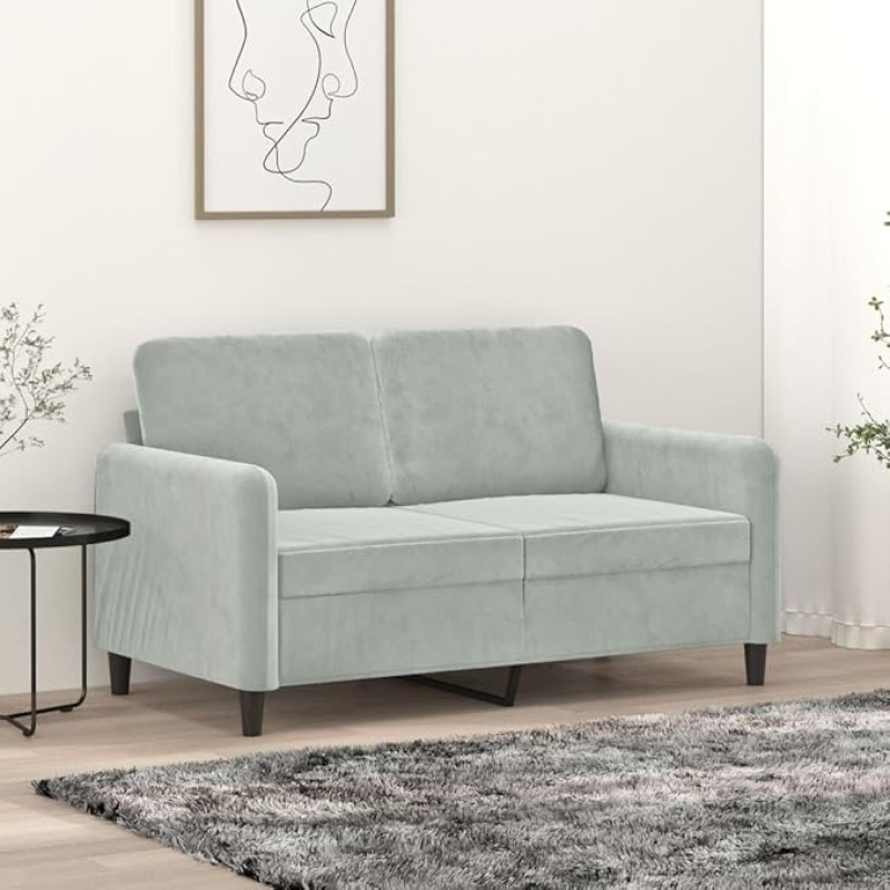 CIADAZ 359432 2-Seater Sofa, Light Grey, 120 cm, Velvet, Lounge Sofa, Sofas & Couches, Relax Sofa, Couch for Living Room, Couch with - 359432