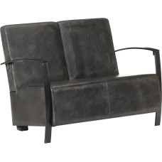 CIADAZ 2 Seater Sofa, Couch for Living Room, for Apartments, Couch with, Lounge Sofa, Sofas & Couches, Relaxing Sofa, Grey Genuine Leather