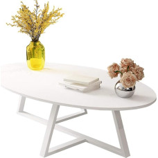Oval Coffee Tables Living Room Modern Design, Scandinavian Side Tables for Small Spaces, Living Room Table, Waiting Room Tables Made of Metal and Wood, White
