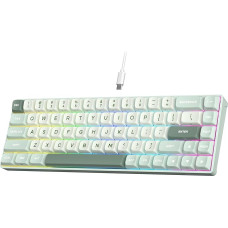 RK ROYAL KLUDGE C68 Hall Effect Mechanical Gaming Keyboard, 65% HE Magnetic Switch, RGB Cable Keyboard, Hot Swappable, Adjustable Quick Fire Function, 8K Query Rate, Pro Web Driver for Mac and Win