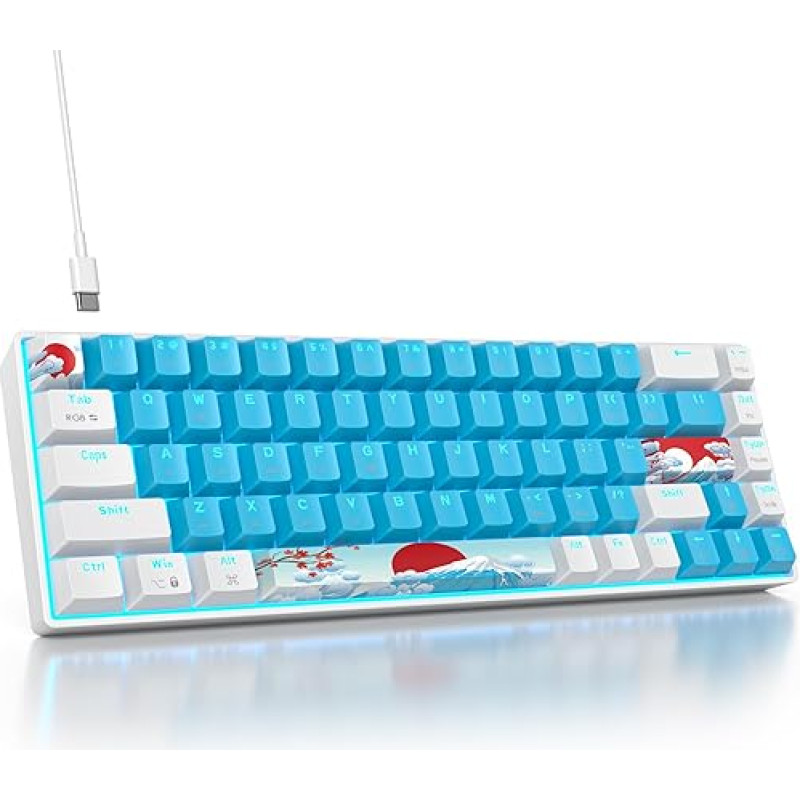 SOLIDEE Mechanical Gaming Keyboard, 65 Percent, 68 Keys, Compact Mechanical Keyboard, RGB Backlight, 65 Percent Keyboard Mechanical QWERTY, Red Switch for Win/Mac, PC, Laptop (68 Blue)