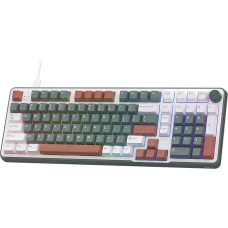 RK ROYAL KLUDGE C98 RGB Wired Magnetic Switch Keyboard Green Mixed Color