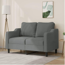 Snsowed 359352 2-Seater Sofa Dark Grey 120 cm Fabric, Lounge Sofa, Sofas & Couches, Relax Sofa, Couch for Living Room