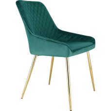 RayGar Hamilton Accent High Back Dining Chair with Metal Tubular Legs - Green