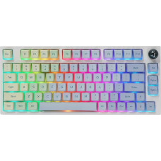 EPOMAKER TH80 Pro Mechanical Gaming Keyboard, 2.4GHz/Bluetooth, 75% Hotswap with RGB PBT Keycaps for WIN/MAC/PS4/PS5/Xbox (Monet, Budgerigar Tactile)
