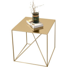 CAFIEDR Coffee Table Creative Metal Side Table Coffee Table for Living Room Sofa Table Bedside Table for Bedroom 50 cm × 50 cm × 50 cm Gold