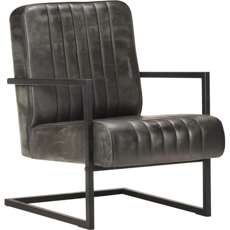 vidaXL Cantilever tugitool Retro lamamistool polsterdatud tool nahast tool TV Lounge elutuba hädas hallist ehtne nahk