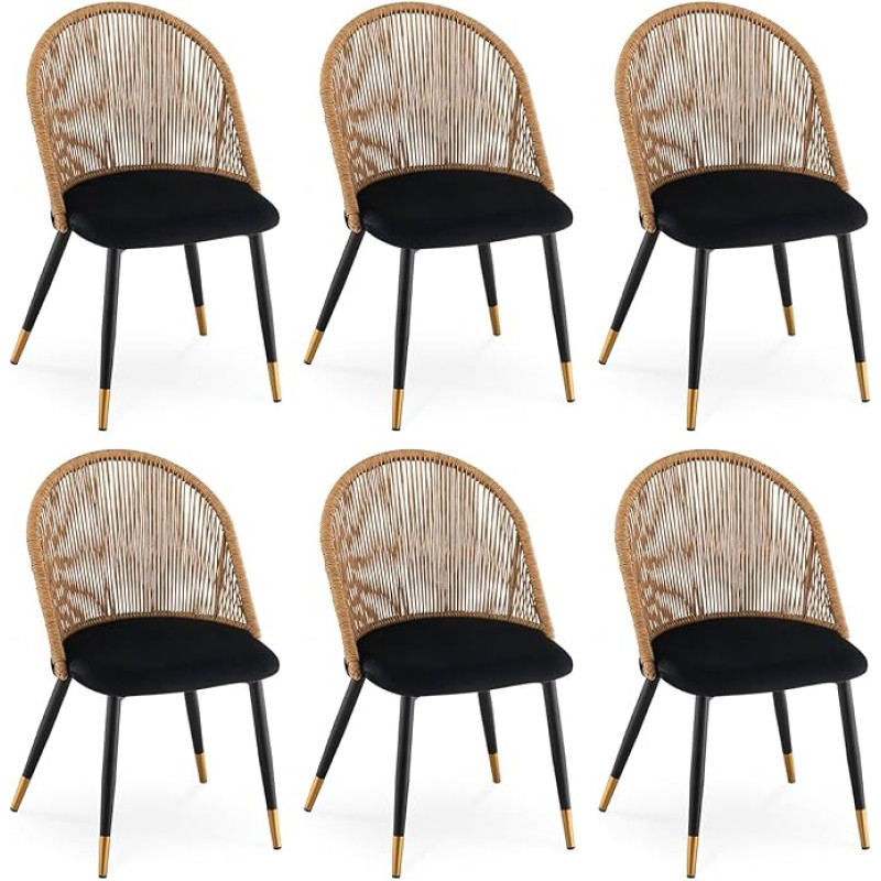 CLIPOP söögitoa toolid, köögitoolid rotangist, pehmendatud istmega söögitoa toolid, maksimaalne koormus 150 kg, rotangist toolid elutuppa, söögituppa (must, komplekt 6)