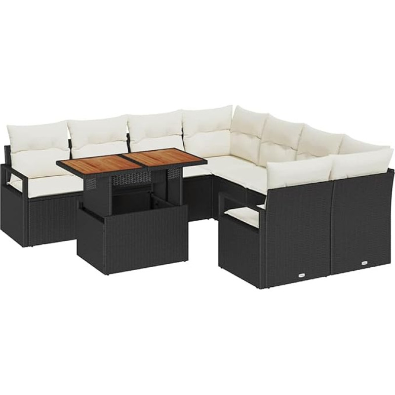 Rantry 9-teiliges Garten Sofa Set mit Kissen Schwarz Poly Rattan, 2-Sitzer Garten Sofa mit Stauraum und Kissen Schwarz Poly Rattan Gartenlounge Model3358427