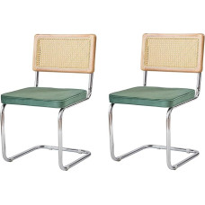 JZGORC 2 moodsa söögitooli komplekt Hollandi sametist pehmendusega köögitool Cantilever söögitool võrk rotangist seljatoega - roheline