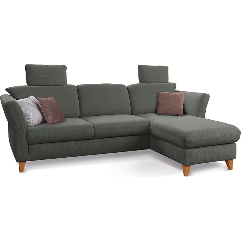 CAVADORE Trend diivanvoodi / Skandinaavia nurgadiivan vedrustussüdamega, voodifunktsioon, voodikast pikitoolis ja 2 peatoega, 249 x 86 x 162 cm, koordi, tumehall