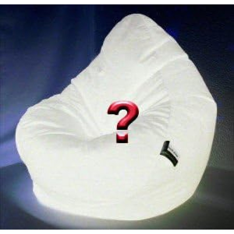 XL Bean Bag koos Ticking 