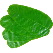 TOYANDONA 5 Stück Teiliges Künstliche Grüne Bananenblätter Tischsets aus Hochwertigem Stoff Realistisch Aussehende Tischmatten für Tropische und Hawaii Partys Vielseitige Partydeko und