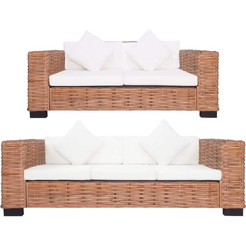 ARKEM 2-osaline diivanikomplekt koos padjadega Looduslik rotangist elutoa diivan nurgas diivan väike