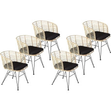 SAM komplekt 6 Nairobi rotangist tooli, naturaalne värv, sisaldab istmepatja, metalljalgadega punutud tool, retro disainiga punutud tool / raudtool, söögitoa tool käetoega.