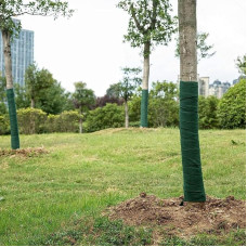 WinterWrap für Bäume Vliesmaterial sorgt für Vitalität durch kalte Monate (A)